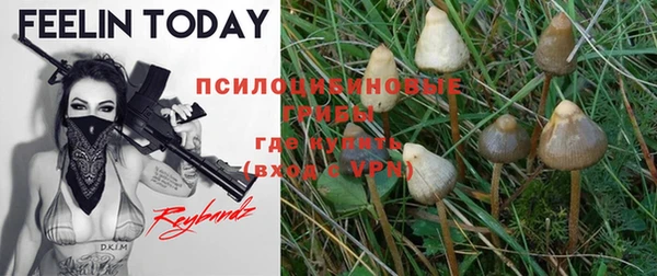 apvp Нефтегорск